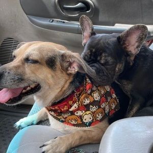 Meet your Posher, Jacob